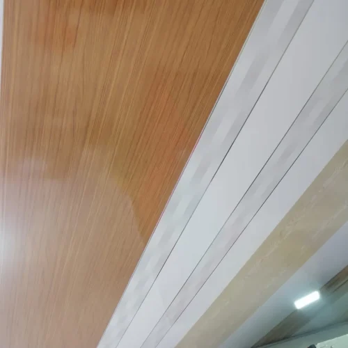 TechosPvc (14)_resultado