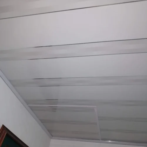 TechosPvc (19)_resultado