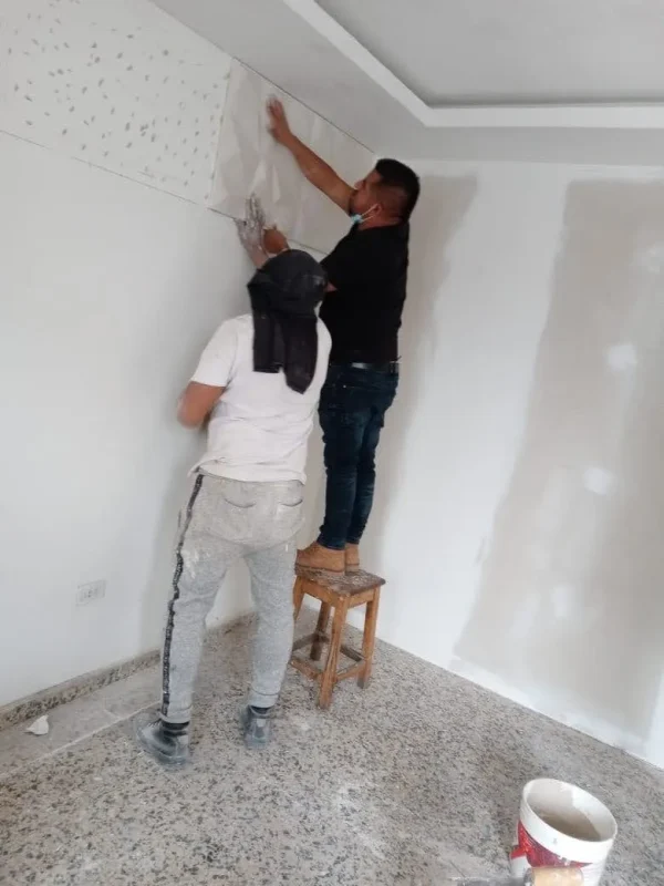 terminacionPintura (5)_resultado